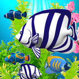 naveen.blueaquarium