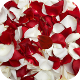 com.alx.rosepetalslwp