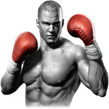 com.bluegames.boxer