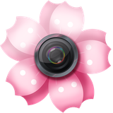 com.LovelySakuraPictureFrames