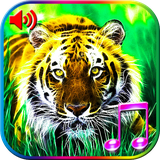 com.grs.animals3d
