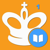 com.chessking.android.learn.chesscombinations1