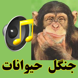seda.jangal