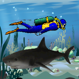 com.kgtasarim.SharkAttack