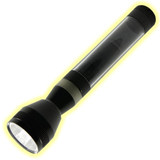 sharadamma.vellanad.torch