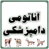 com.anatomy.vet