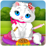 air.mwe.takingbathforyourcat