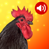com.premiumsoftware.animalsoundsandphotos