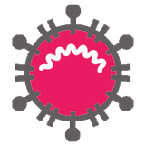 com.example.coronavirus