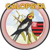 com.alienapps42.calopsitaa_fla