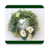 com.example.hosein.flowerdb2