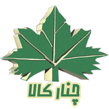devwp.ir.chenar