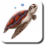 at.appscore.diveplanner