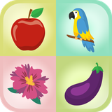 com.nexuslink.kidsallinonefree