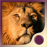 com.app.AccessInnerPower