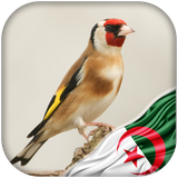 com.hassoun.maknin.algerie