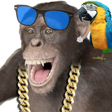 com.mobobi.realtalkingmonkey