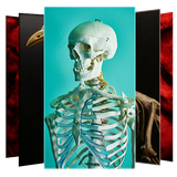 com.suviapps.skeletonwallpapers