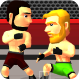 com.paytonkvistad.boxerfight