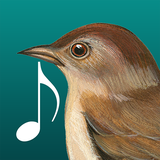 com.ztx.birdsounds
