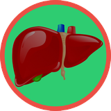 com.fatty.liver