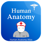 com.humananatomy.anatomyposition