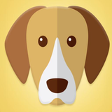 macrostudios.whatypeofdogareyou