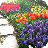 org.doknow.garden.design.ideas