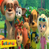 jet.pooches.kobrarost