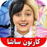 com.sashazz.mir