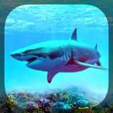 com.fun.sharkslivewallpaper