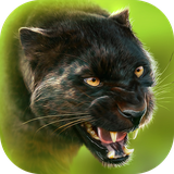com.swiftappskom.pantheronline
