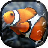 com.bravo.fish.aquarium