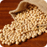 buy.setareh.soya