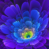 com.freewps.glowingflowerslivewallpaper