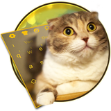 live3d.chubby.cute.kitty.keyboard.theme
