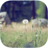 com.graphicstudio.ghsdker