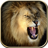 com.gm.wildlionhunt2016