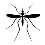 rd.mosquitosound.v2
