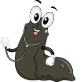 com.zaloo.leech