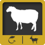 sheep.chaparel.ir
