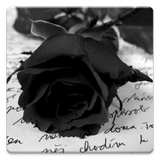 com.sbardyuk.gothicphotos