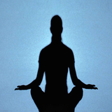 newmanl.yuga