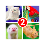 com.iPrado.GuessTheWord2