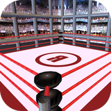 com.threedfungamesforfree.real.wrestling