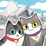 com.owlogue.catstar