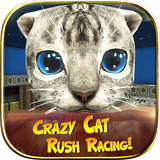 com.hgamesartworks.crazycat