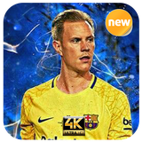 com.EndangArt.TerStegen_Wallpaper