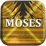 com.ayotree.moses