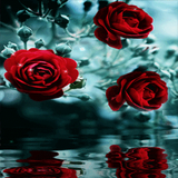 com.dakshapps.flowerbranch